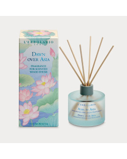 Ambientador amanecer en Asia