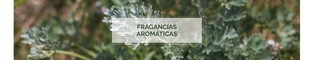Aromatica
