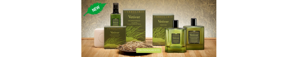 Novedades