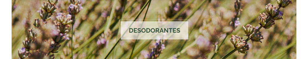 Desodorantes