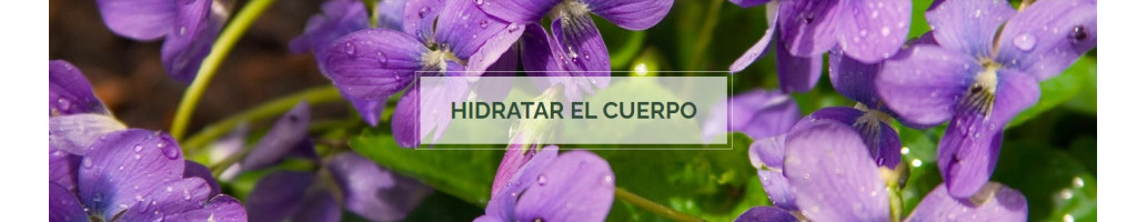 Hidratar