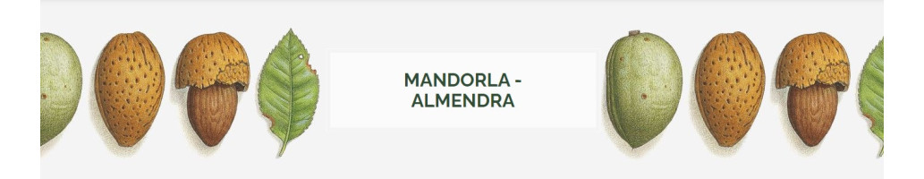 Almendra