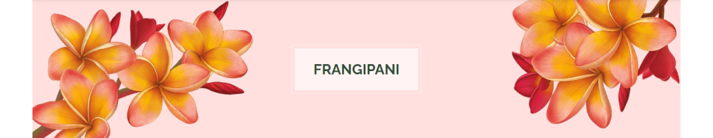 Frangipani