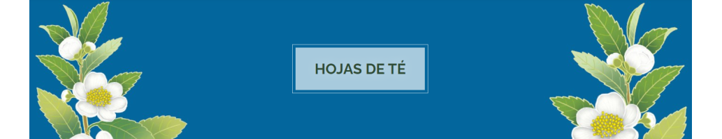 Hojas de Te