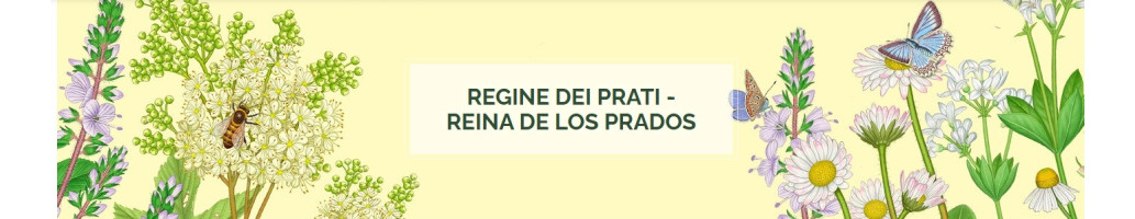 Reina de Prado