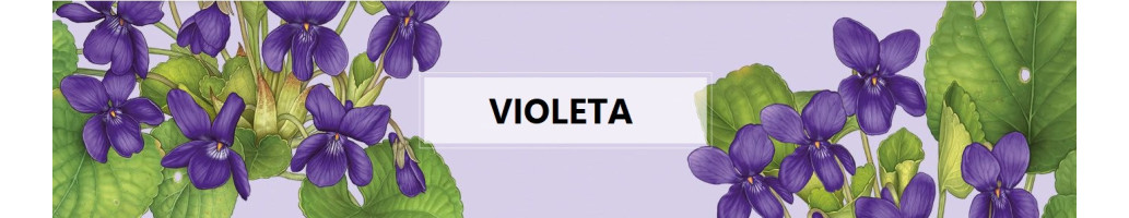 Violeta