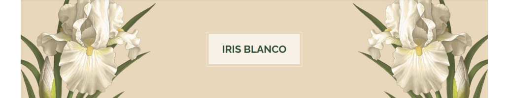 Iris blanco