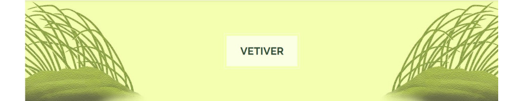 Vetiver